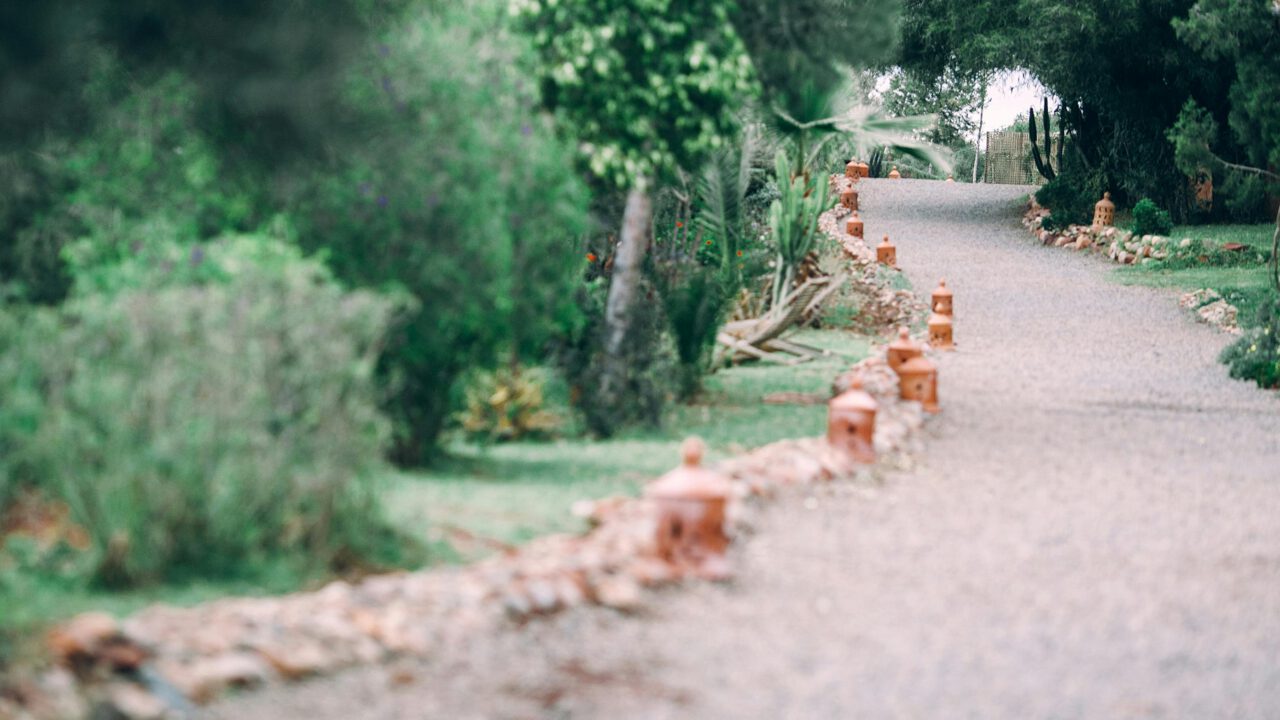 Un jardín con piedras ¿Cómo cuidarlo?