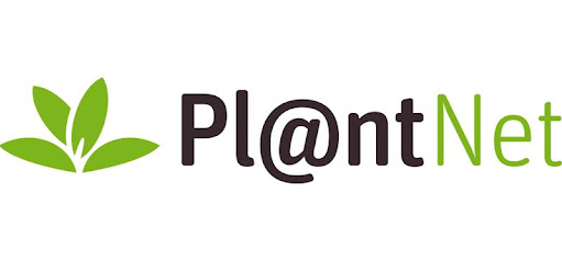 Aplicación smartphone para el reconocimiento de plantas