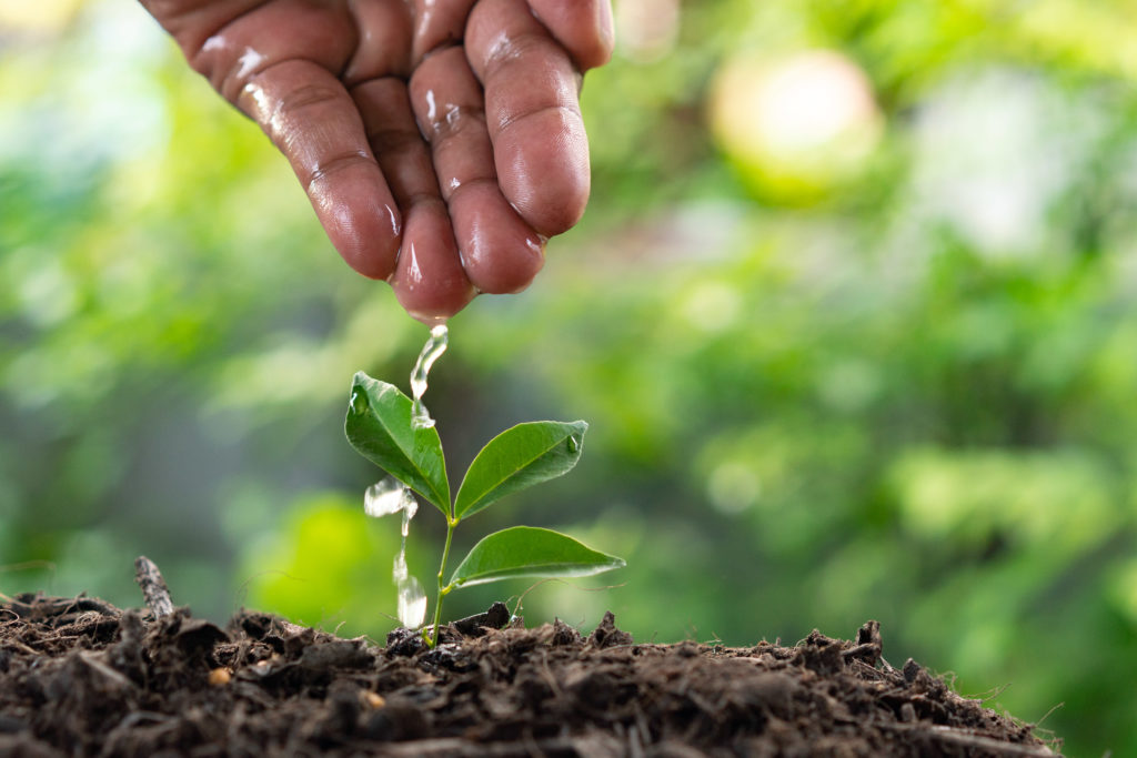 ¿En qué consiste el riego por goteo?